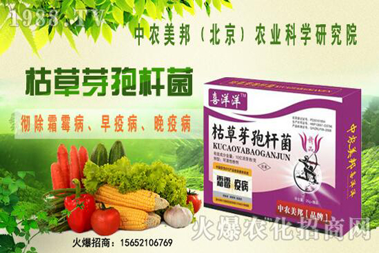 �ݲ�ѿ�ߗU���θ���������������Щ�������������Ό�(du��)������Щ��