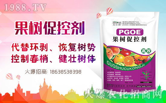 果樹巧用多效唑！效果翻倍沒問題！多效唑的作用與使用方法！