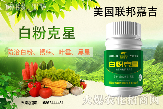 �׷۲���(qi��ng)��(sh��)��(l��i)�u������(f��)�l(f��)������β���ô������׷۲������]��