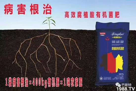     ���׌�Nֲ׃�ø��p�ɣ�һ���ײ���ȫ���䷽����˹�ش󽪠I�B(y��ng)�ײͷ�����