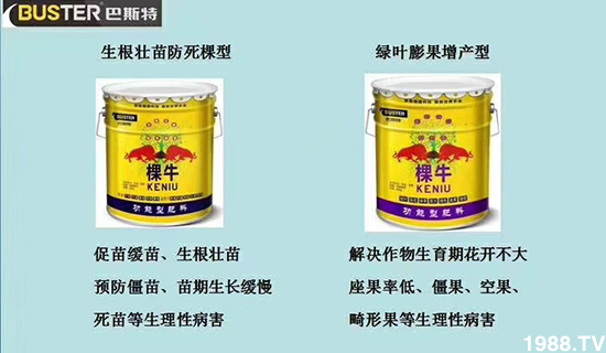     ���׌�Nֲ׃�ø��p����һ���ײͣ�ȫ���䷽����˹�ش󽪠I�B(y��ng)�ײͷ�����