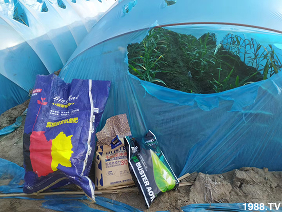     ���׌�Nֲ׃�ø��p����һ���ײ���ȫ���䷽����˹�ش󽪠I�B(y��ng)�ײͷ�����