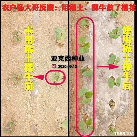     ���׌�Nֲ׃�ø��p�ɣ�һ���ײ���ȫ���䷽����˹�ش󽪠I�B(y��ng)�ײͷ�����