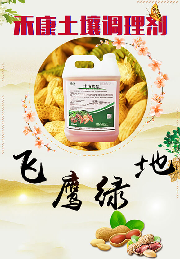 �̿����������{�턩-�w���G��_01