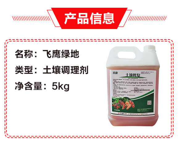 �̿����������{�턩-�w���G��_02