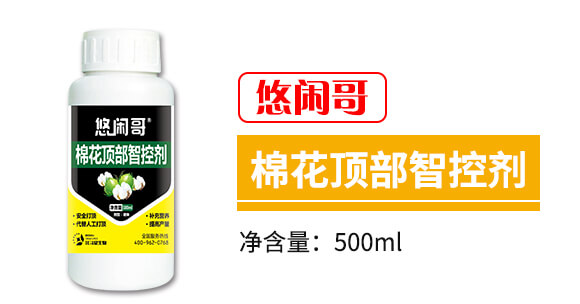 �޻�픲��ǿ؄�-���e��-������_03