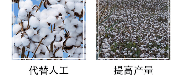 �޻�픲��ǿ؄�-���e��-������_05