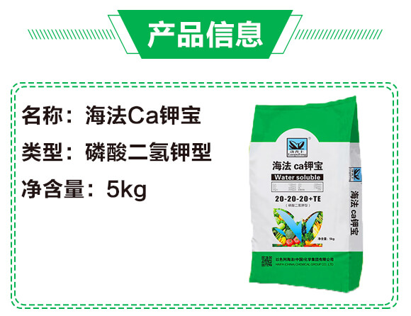 ����Ca⛌�20-20-20+TE��5kg��-����_03