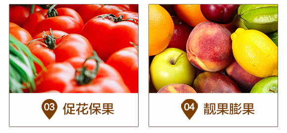 ����t�-��(f��)��΢�������-�A�I_05