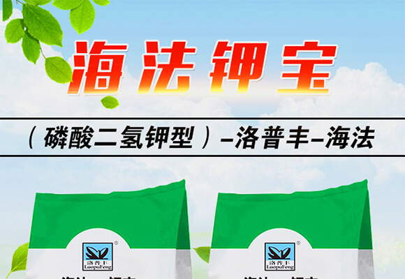 ����Ca⛌�20-20-20+TE��5kg��-����_01