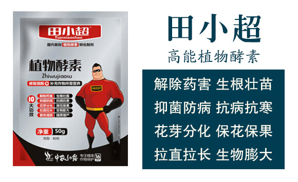 ����ֲ�����-��С��_03