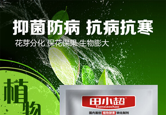 ����ֲ�����-��С��_01