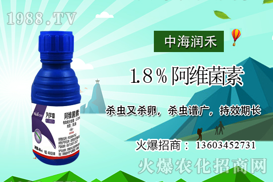 斜紋夜蛾高發(fā)期，防治工作迫在眉睫！斜紋夜蛾如何用藥？