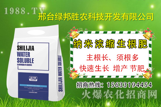 番茄死棵究竟哪些原因所致，如何預(yù)防番茄死棵發(fā)生？