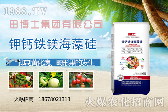 Խ�ķ��ѻ��ι����a(ch��n)���ϲ�ȥ�����η��ѻ��ι����@ЩҪ�I(l��ng)�����գ�