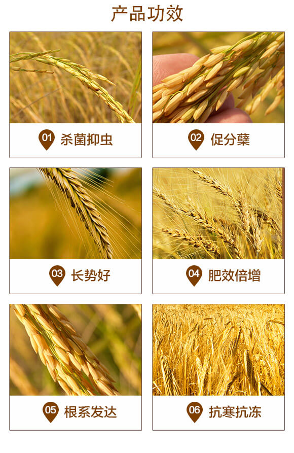 �LЧ��ጓ������20-20-5-����С����-�������r(n��ng)_03