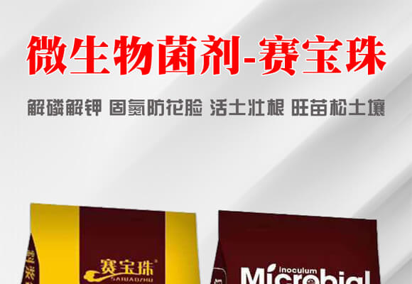 ΢�������-ِ����_(k��i)01