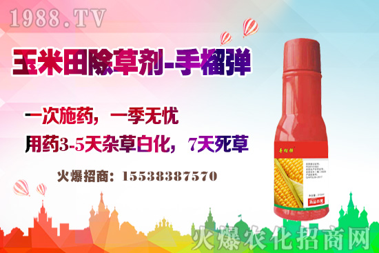 ������������v�������׳��݄��@�Ӵ������L�s�ݲ����磡