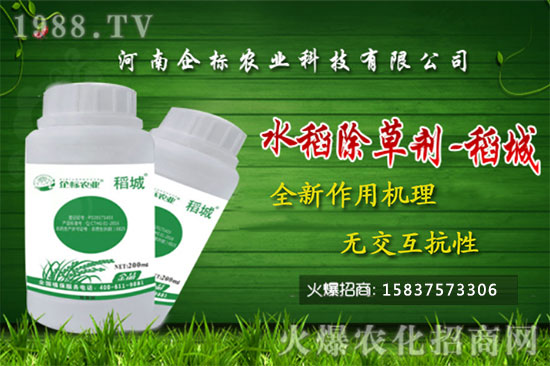 ���݄��r(ji��)��