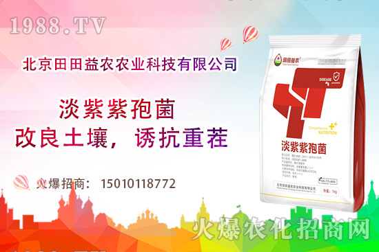 ���t��������c����Щ�����t���ļ���ι�����