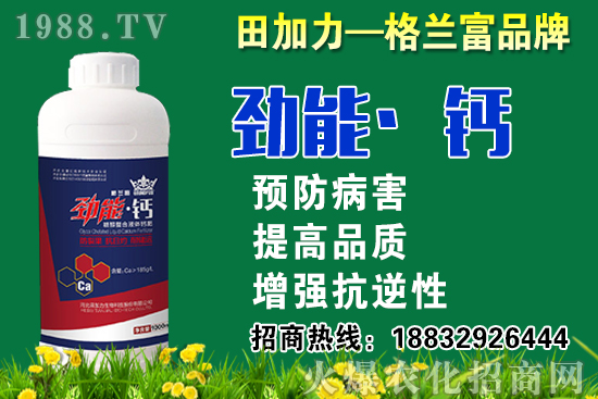 2020���}��ʲô�r(sh��)��N�����}���NֲҪע����Щ���}��