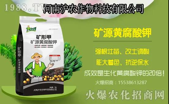 南瓜生長分哪幾個過程？南瓜施肥要點，用什么肥料好？