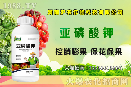 大蔥育苗要點(diǎn)你知道嗎？大蔥常見病蟲害有哪些？如何防治？