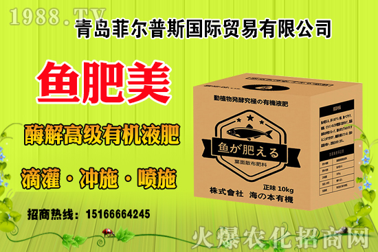 ���׽Y(ji��)��(sh��)����ɶԭ�����з��a(b��)�Ȇ᣿���׽Y(ji��)��(sh��)�������ƴ�ʩ��