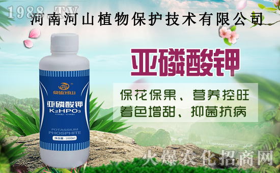 С�����߼Ӵa�������u�Z��2020��8��14��С���r��������