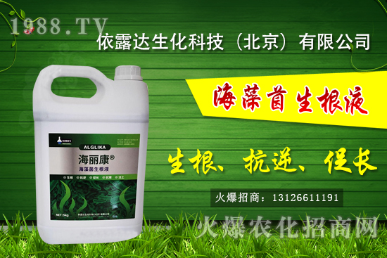 �J��������ЩƷ�N���J���Һ��殐����ʲô�^(q��)�e��