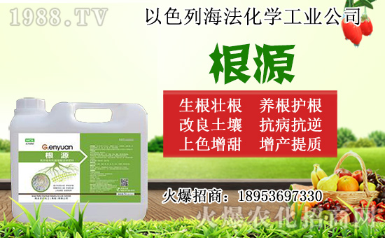 無花果怎么扦插？無花果扦插時(shí)間及扦插繁殖方法！