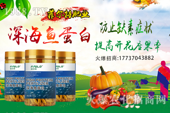 青梗菜種植時間，青梗菜栽培及管理關(guān)鍵要點！