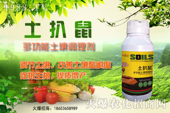 ������ʲô�r��Nֲ����������ô�x���Nֲ�����ô����