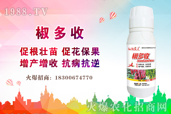 С���r(ji��)������Xһ����2020�����С���r(ji��)��߀���ϝq����