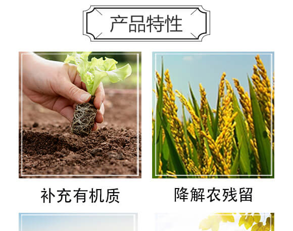 ̼Դ����-���n����_05