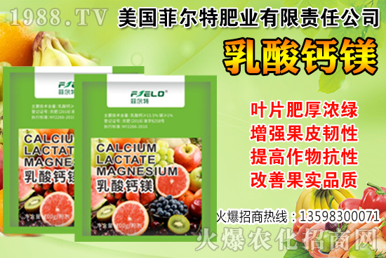 ���Ѳ��պ���α��r�����Ѳ��պ���@ע�����(xi��ng)��