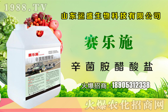 大棚杏樹(shù)的授粉方法，大棚杏樹(shù)如何多坐果？