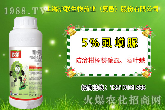 �����P��ʭ��ʲô�Y������ô���Σ������P��ʭ��ˎ���]