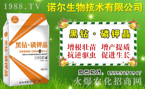 ����˶����ʩ�����˶�������c(di��n)�cʩ�ʼ��g(sh��)��