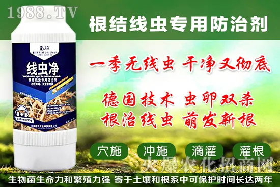 �������״���ʲô���ã��������״���������x����