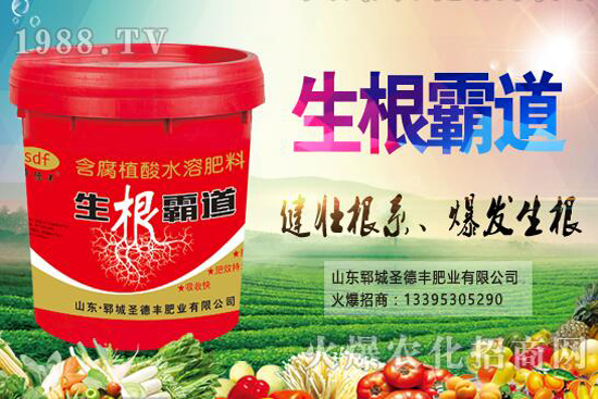 花椒樹種植季節(jié)是什么時(shí)候？花椒樹種植技巧有哪些？