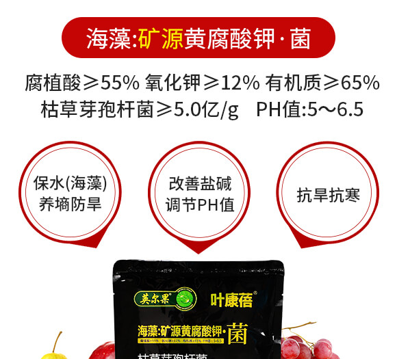 ����VԴ�S����⛡���-�~����-Ӣ����_06