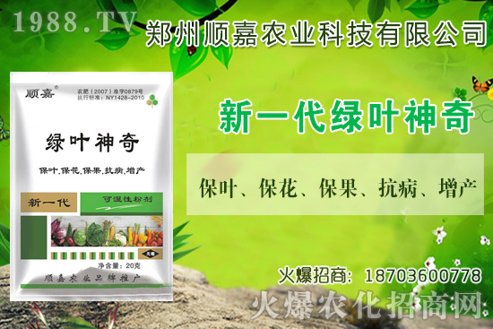 小麥價(jià)格連連上漲！現(xiàn)在一斤多少錢(qián)？