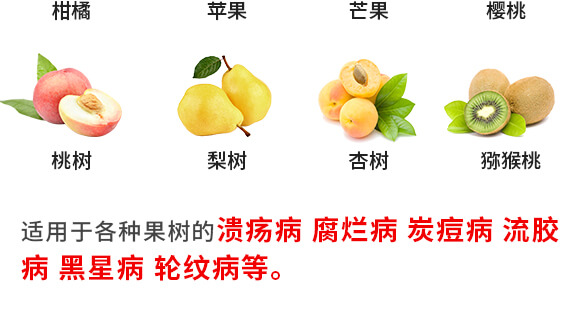 �ݲ�ѿ�ߗU��-һ����-Ӣ����_09