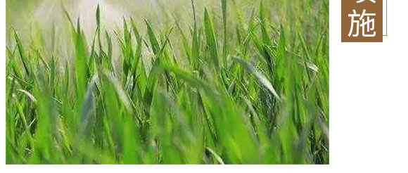 ����Ԫ��ˮ�ܷ�-��⏌�-Ӣ����_08