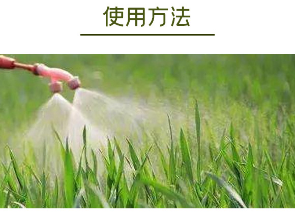 �Ǵ��}-Ӣ����_12