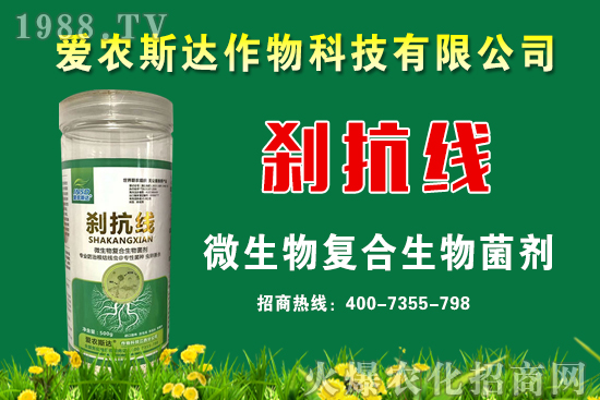 今日糧價(jià)：2020年9月11日小麥價(jià)格行情預(yù)測！