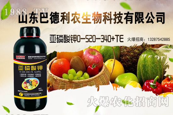 小麥價(jià)格能漲到多少錢一斤？部分地區(qū)價(jià)格行情！