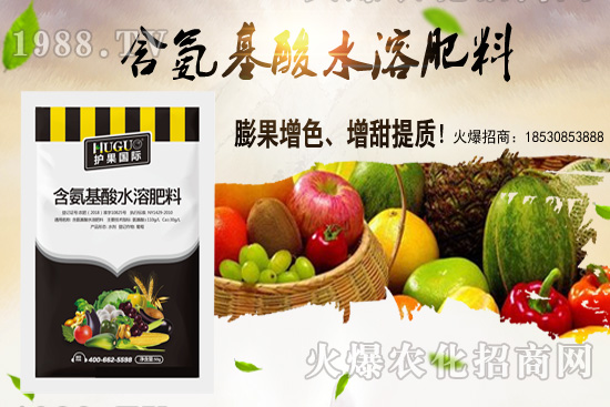 蕓豆適合在什么季節(jié)栽培？蕓豆如何進行種植？