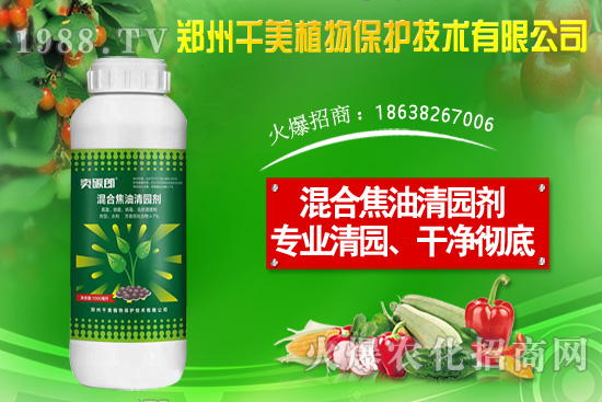 金錢草種子怎么種？金錢草種植方法介紹！